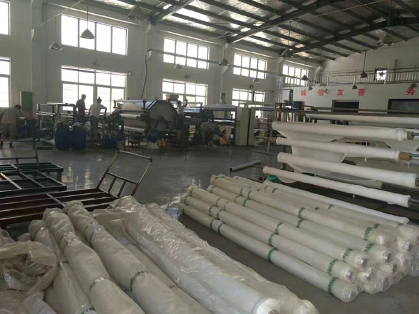 ��Ĥ����